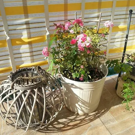 Sunny 3*