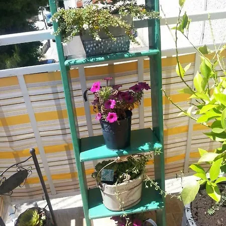 Guest house Sunny