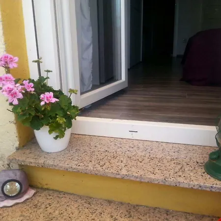 Guest house Sunny